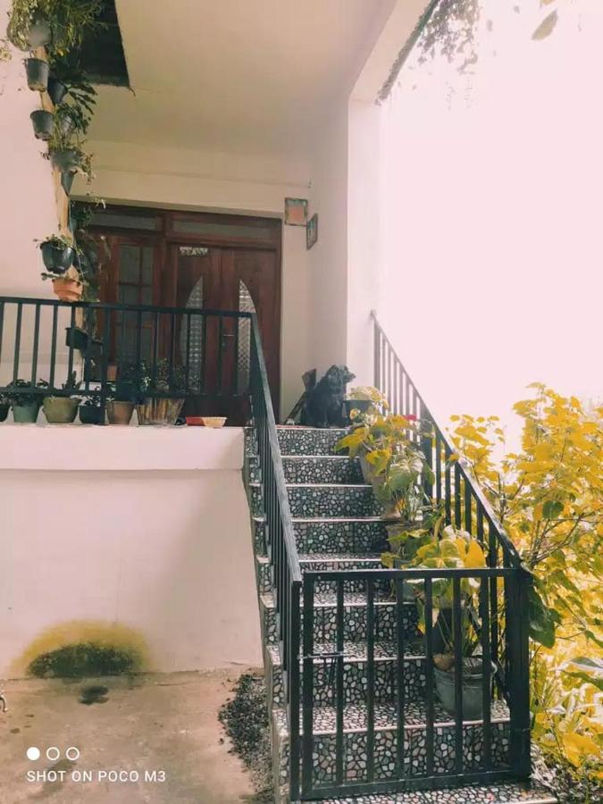 La Rose Guest House Nuwara Eliya Buitenkant foto