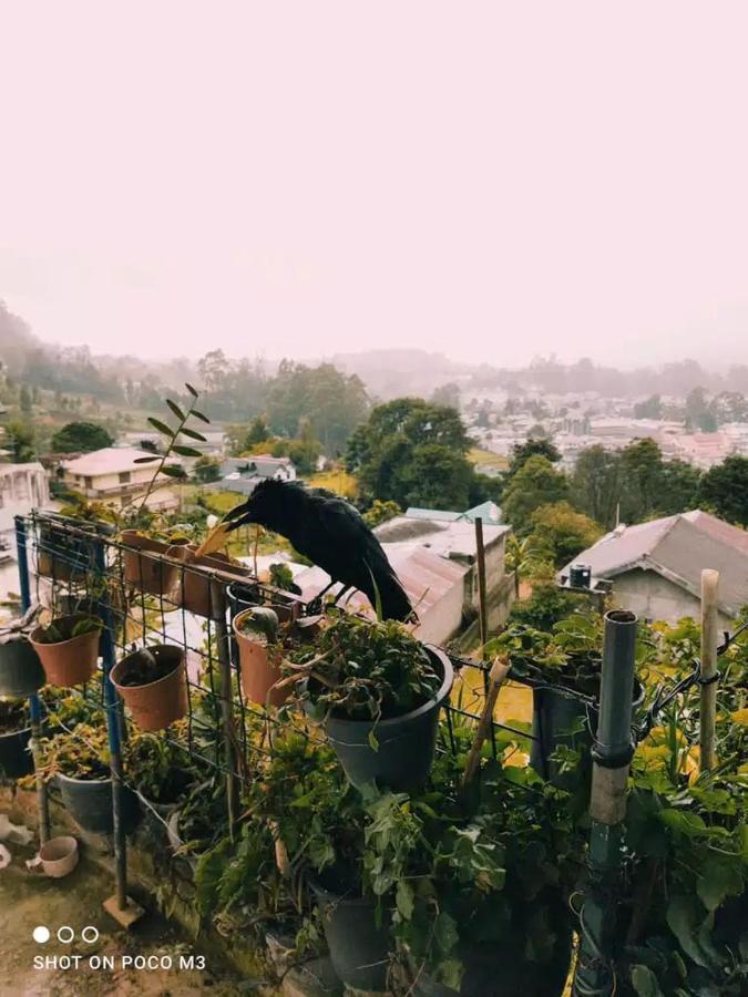 La Rose Guest House Nuwara Eliya Buitenkant foto